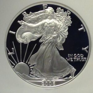 2006-W **PF69 ULTRA CAMEO** FIRST STRIKES *NGC*__________________________ __________Proof Silver Eagle $1